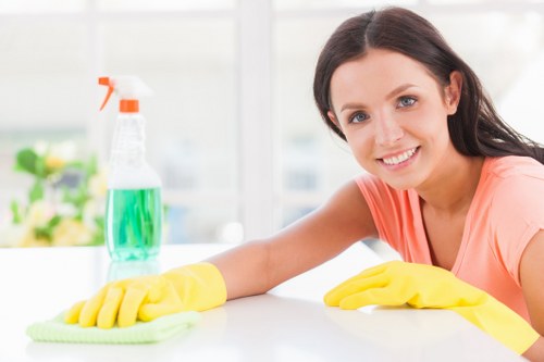 Ruislip Cleaners service terms document opening section