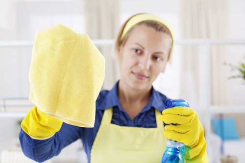 Professional cleaners in Ruislip servicing a bright residential home