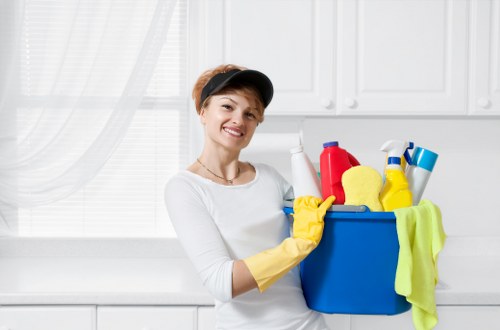 Accessibility statement introduction for Ruislip Cleaners