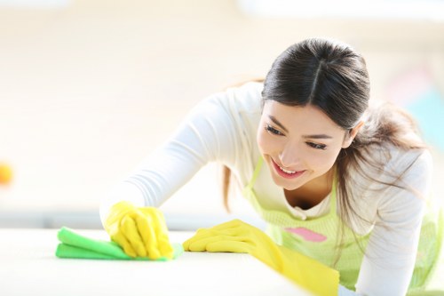 Upholstery cleaning process for a fabric sofa in Ruislip