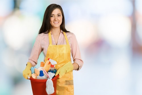 Carpet cleaning process for a Ruislip property