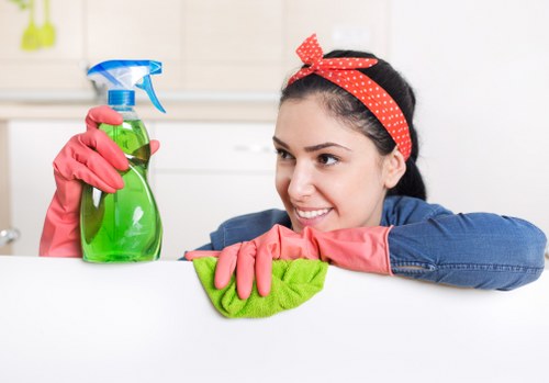User controls for managing Ruislip Cleaners cookie preferences