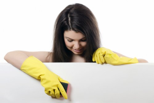 Internal assessment of a cleaner complaint and service records
